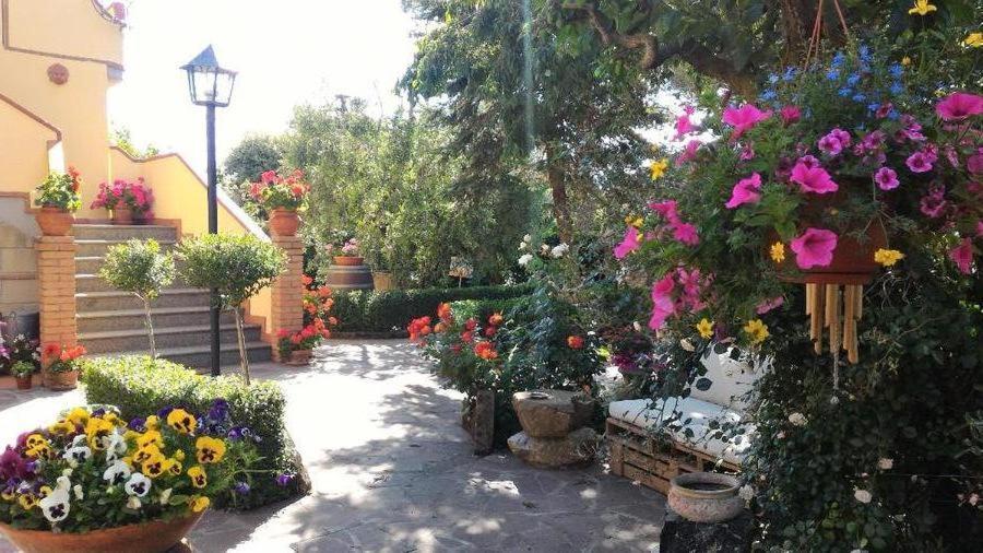 Bed And Breakfast Val Di Lupa Castellina Marittima Exterior foto