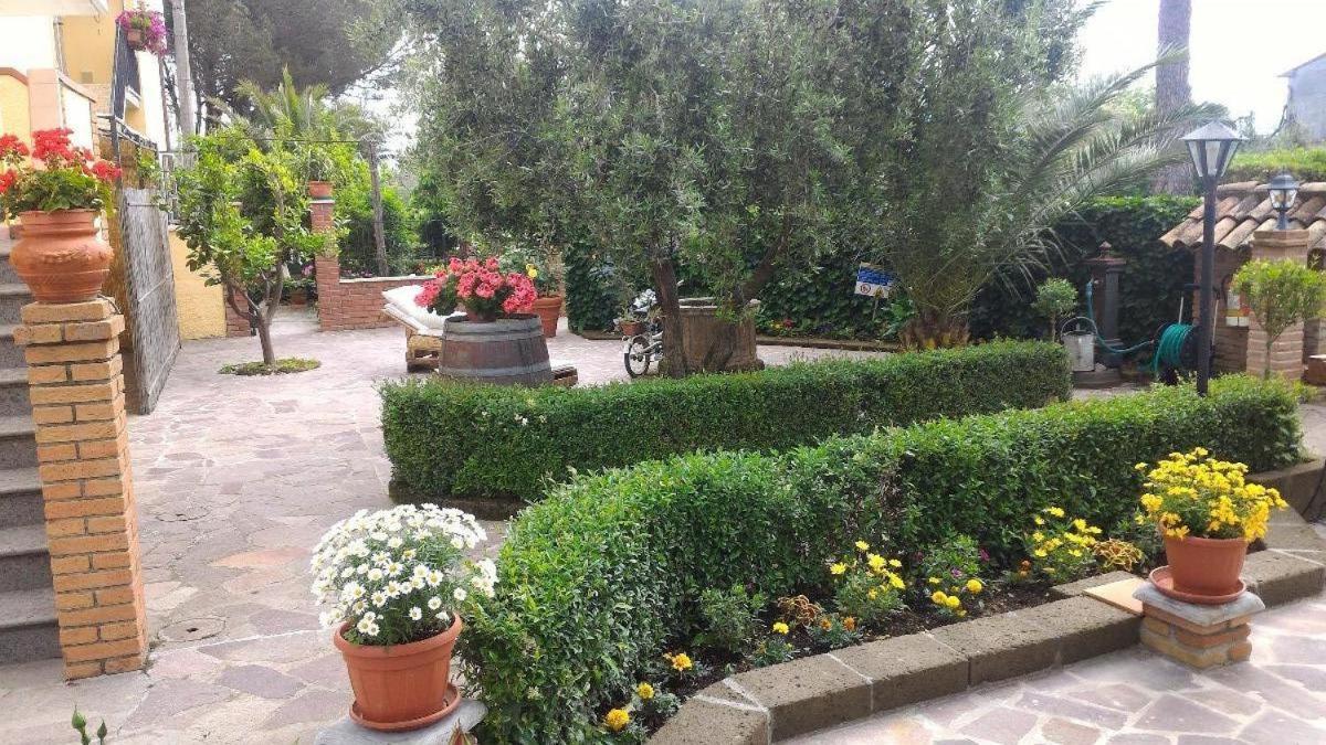 Bed And Breakfast Val Di Lupa Castellina Marittima Exterior foto